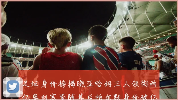 足坛身价榜揭晓亚哈姆三人领衔两亿奥利塞紧随其后帕尔默身价破亿