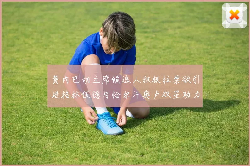 费内巴切主席候选人积极拉票欲引进格林伍德与恰尔汗奥卢双星助力球队