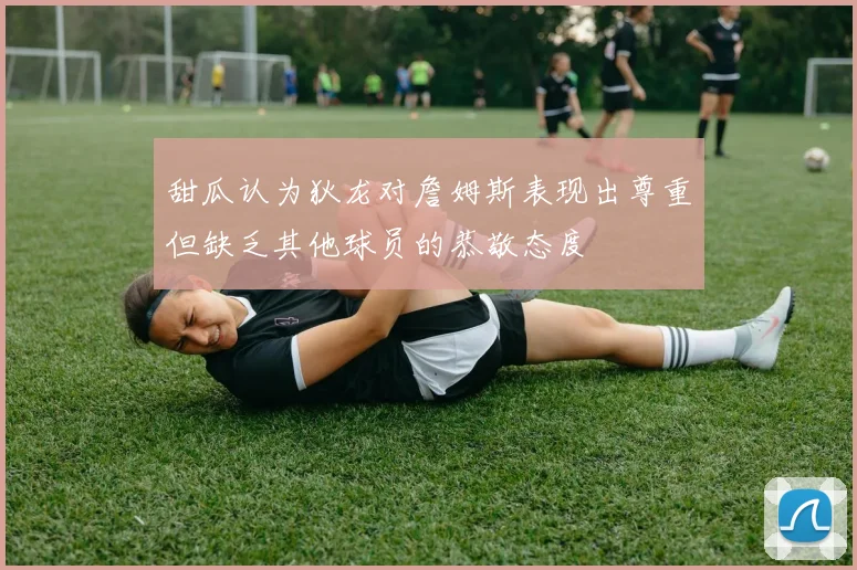 甜瓜认为狄龙对詹姆斯表现出尊重但缺乏其他球员的恭敬态度